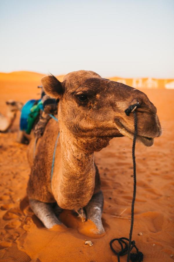 מרזאוגה Sanmao Desert Luxury Camp מראה חיצוני תמונה